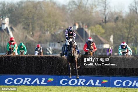 Coral Trophy odds and predictions: Cap Du Nord to win .